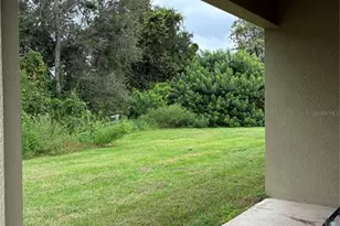 2319 Nesslewood Dr, Wesley Chapel, FL 33543 - Photo 37