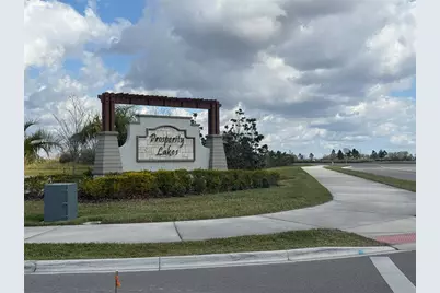12220 Violet Jasper Drive, Parrish, FL 34219 - Photo 39