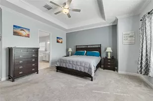 12220 Violet Jasper Dr, Parrish, FL 34219 - Photo 19