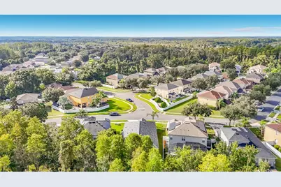 18453 Cypress Bay Parkway, Land O Lakes, FL 34638 - Photo 53