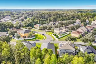 18453 Cypress Bay Pkwy, Land O Lakes, FL 34638 - Photo 53