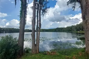 20182 Cot Rd, Lutz, FL 33558 - Photo 3