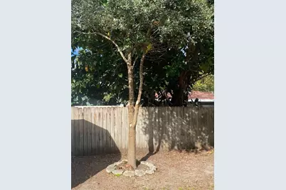 2713 W Saint Louis Street, Tampa, FL 33607 - Photo 39