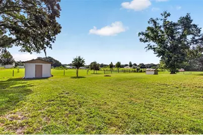 3412 Wolfe Road, Zephyrhills, FL 33541 - Photo 75