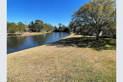 129 Camphor Circle #C, Oldsmar, FL 34677 - Photo 53