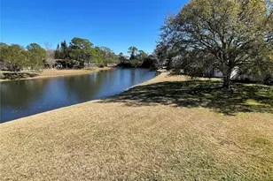 129 Camphor Cir, Oldsmar, FL 34677 - Photo 53