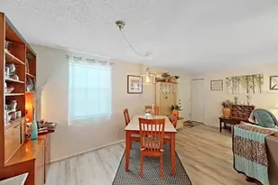 129 Camphor Cir, Oldsmar, FL 34677 - Photo 11