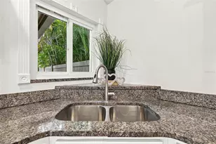 11905 Hickorynut Dr, Tampa, FL 33625 - Photo 29