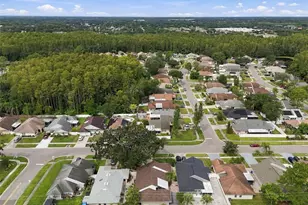 11905 Hickorynut Dr, Tampa, FL 33625 - Photo 69