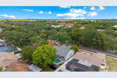1435 Club Drive, Tarpon Springs, FL 34689 - Photo 45