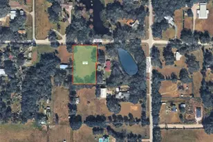 Miller Rd, Dade City, FL 33525 - Photo 1