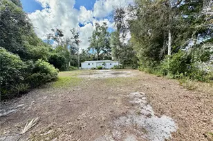 6464 Arbutus Ave, Weeki Wachee, FL 34607 - Photo 5