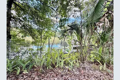 6464 Arbutus Avenue, Weeki Wachee, FL 34607 - Photo 3