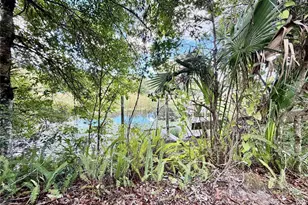 6464 Arbutus Ave, Weeki Wachee, FL 34607 - Photo 3
