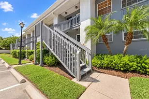 4907 W McElroy Ave, Tampa, FL 33611 - Photo 3