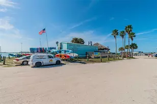 9 Forbes Pl, Dunedin, FL 34698 - Photo 89
