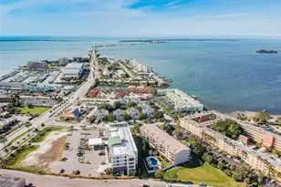 9 Forbes Pl, Dunedin, FL 34698 - Photo 87
