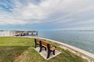 9 Forbes Pl, Dunedin, FL 34698 - Photo 73