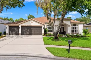 6111 Heroncrest Ct, Lithia, FL 33547 - Photo 1