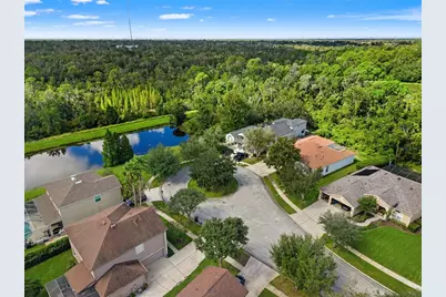 6111 Heroncrest Court, Lithia, FL 33547 - Photo 3