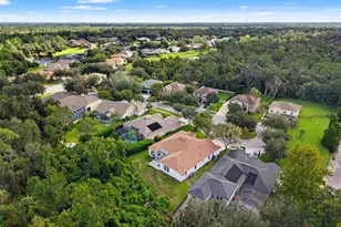 6111 Heroncrest Ct, Lithia, FL 33547 - Photo 55