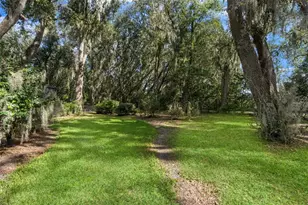 6029 Hammock Hill Ave, Lithia, FL 33547 - Photo 53