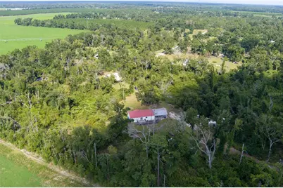 22332 142nd Terrace, Live Oak, FL 32060 - Photo 5