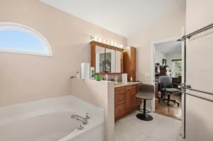 10271 Oasis Palm Dr, Tampa, FL 33615 - Photo 23