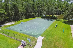 26221 Sword Dancer Dr, Wesley Chapel, FL 33544 - Photo 89