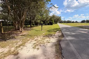 7428 129th Rd, Live Oak, FL 32060 - Photo 19