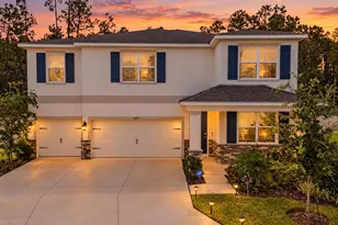 6847 Daintree Ct, Land O Lakes, FL 34638 - Photo 1