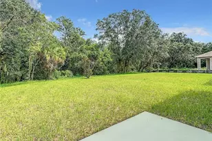 17016 Oval Rum Dr, Wimauma, FL 33598 - Photo 9