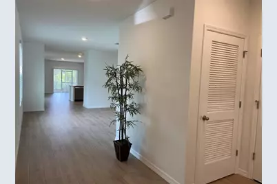 32354 Weathered  Oak Drive, Wesley Chapel, FL 33543 - Photo 5