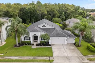 7729 Arelli Dr, Trinity, FL 34655 - Photo 33
