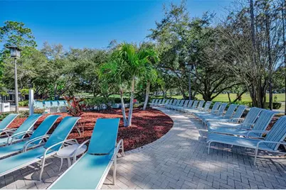 36750 US Highway 19 N #2769, Palm Harbor, FL 34684 - Photo 71