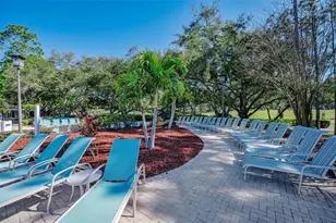 36750 US Hwy 19 N, Palm Harbor, FL 34684 - Photo 71