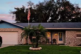 3833 Twilight Dr, Valrico, FL 33594 - Photo 1