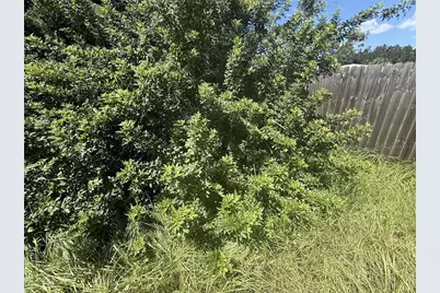 3609 Casaba Loop, Valrico, FL 33596 - Photo 23