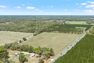 300 NE 708th Ave, Old Town, FL 32680 - Photo 1