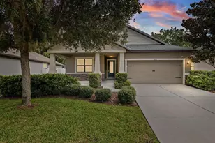 8519 May Port Ct, Land O Lakes, FL 34638 - Photo 1