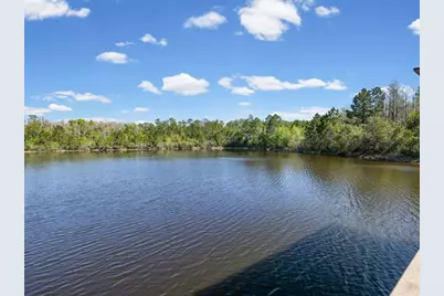 8519 May Port Court, Land O Lakes, FL 34638 - Photo 69