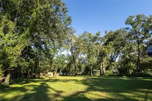 307 Glen Burnie Ave, Temple Terrace, FL 33617 - Photo 33
