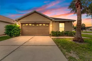 3320 Cardinal Feather Dr, Land O Lakes, FL 34638 - Photo 1