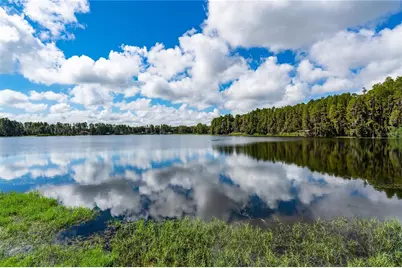 2963 Lake Saxon Drive, Land O Lakes, FL 34639 - Photo 67