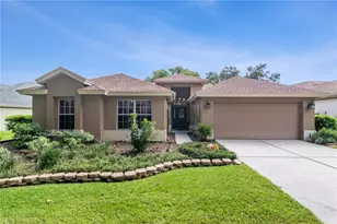 3134 Bent Creek Dr, Valrico, FL 33596 - Photo 1