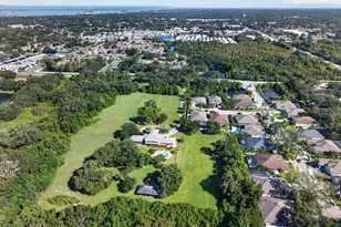 1553 River Dee Ln, Dunedin, FL 34698 - Photo 37