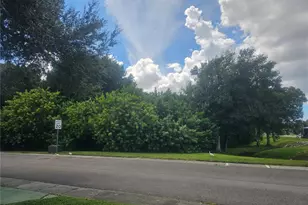 225 Tarpon Ln, Oldsmar, FL 34677 - Photo 5
