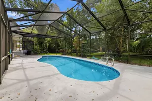1304 Treetop Dr, Palm Harbor, FL 34683 - Photo 25