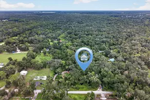 4417 River Dr, Valrico, FL 33596 - Photo 59