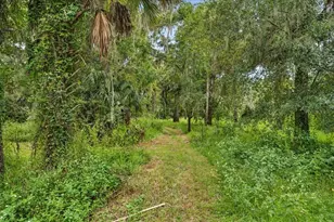 4417 River Dr, Valrico, FL 33596 - Photo 45